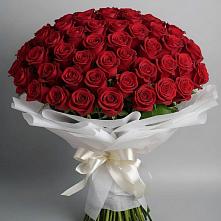 Букет 101 Красная роза Блэк Мэджик в Масловой