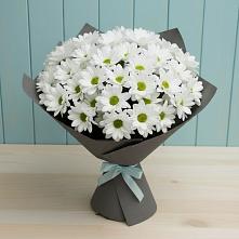 Букет цветов из:  Хризантемы #REPLACE_PRED# Масловой