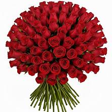 Букет Красные розы Чери Лав в Масловой